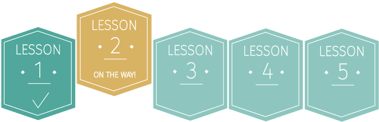 Lesson Progress Image