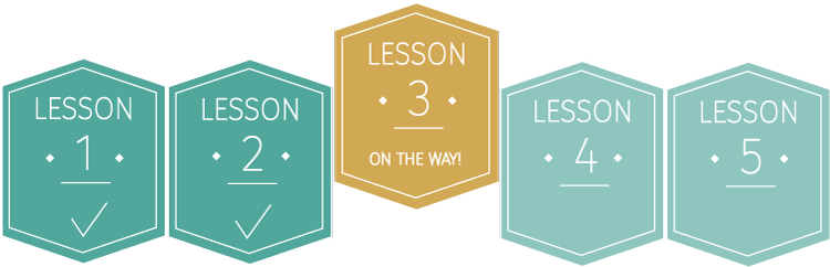 Lesson Progress Image