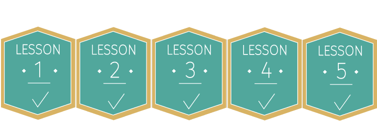 Lesson Progress Image