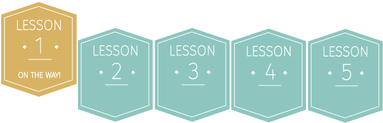 Lesson Progress Image