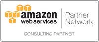 Amazon Consulting Partner